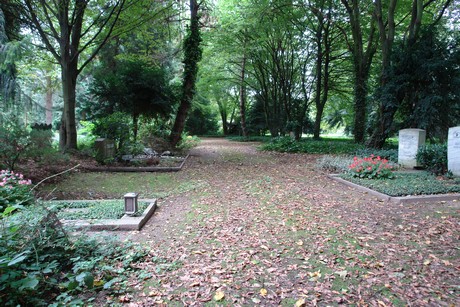 steinneuerweg