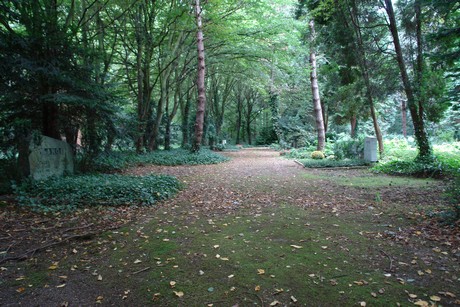 steinneuerweg