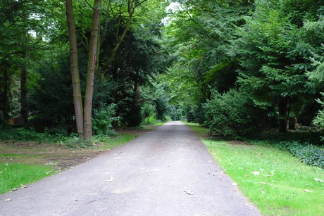 steinneuerweg
