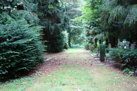 steinneuerweg
