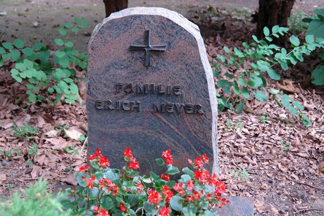 steinneuerweg