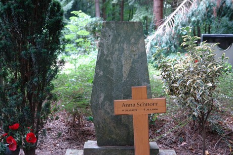 steinneuerweg