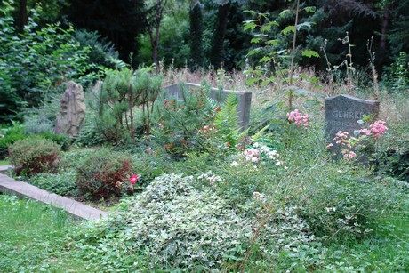 steinneuerweg