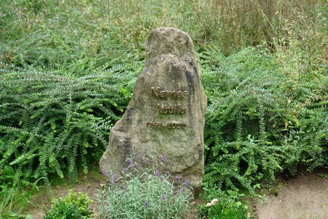 steinneuerweg