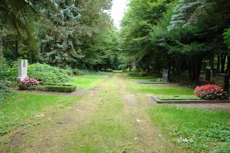 steinneuerweg