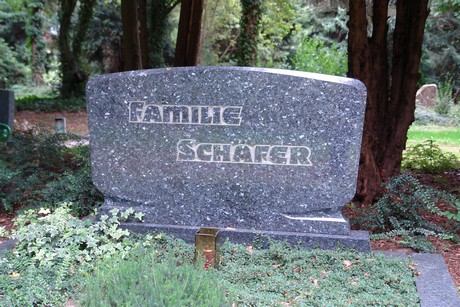 steinneuerweg