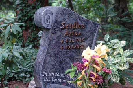 steinneuerweg