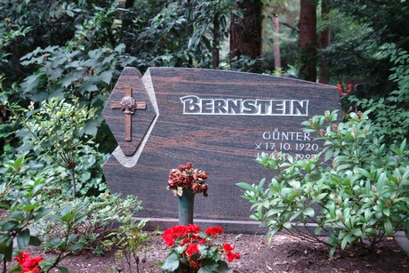 steinneuerweg