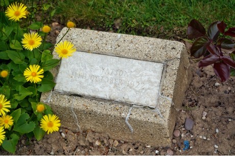 friedhof