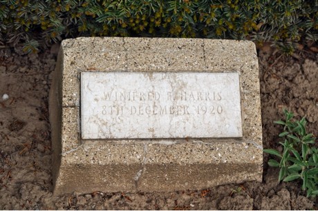 friedhof