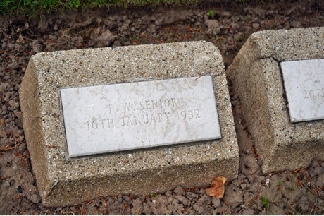 friedhof