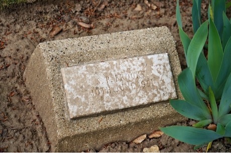 friedhof