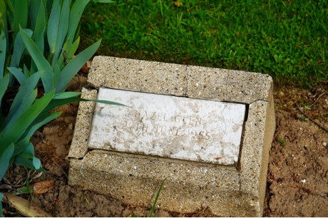 friedhof