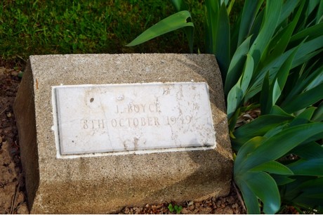 friedhof