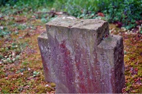friedhof