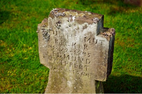 friedhof