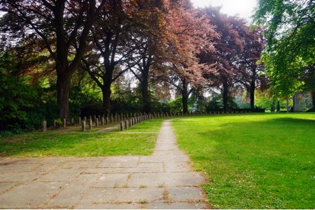 friedhof