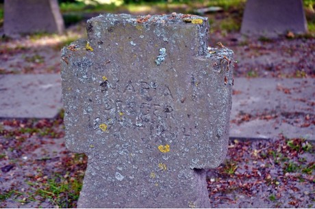 friedhof