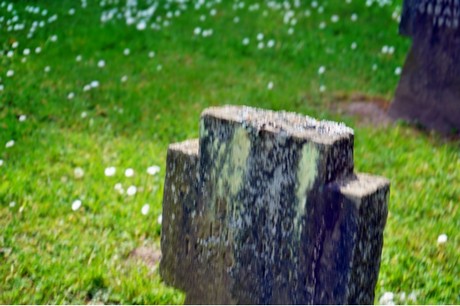 friedhof
