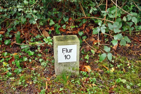 suedfriedhof