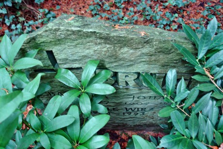 suedfriedhof