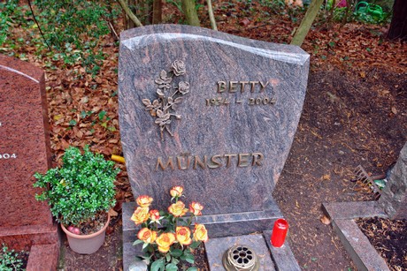 suedfriedhof