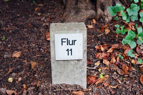 suedfriedhof
