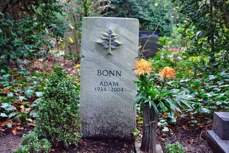 suedfriedhof