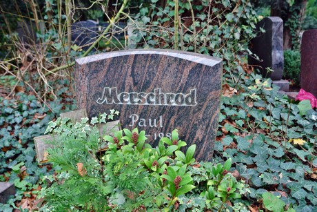 suedfriedhof