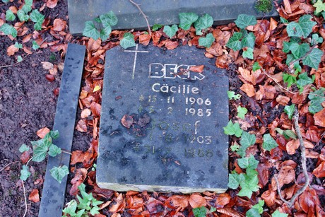 suedfriedhof