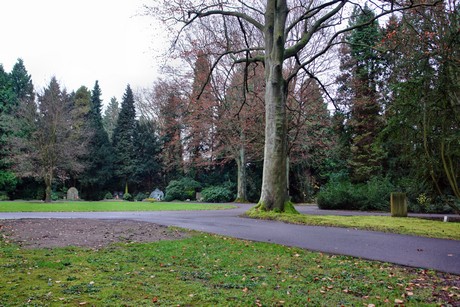 suedfriedhof