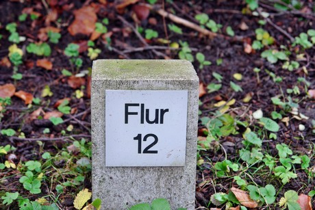 suedfriedhof