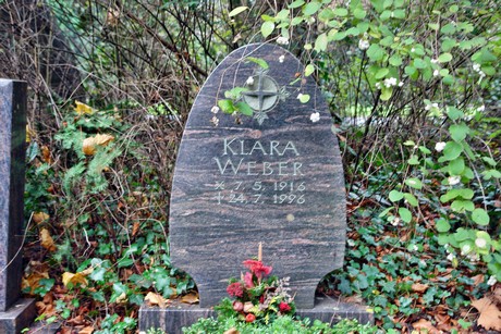 suedfriedhof