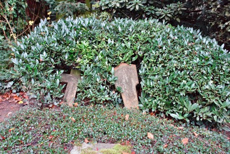 suedfriedhof