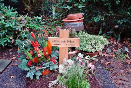 suedfriedhof