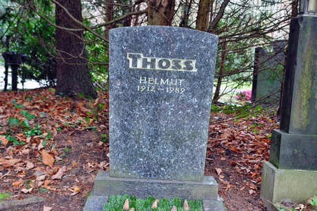 suedfriedhof