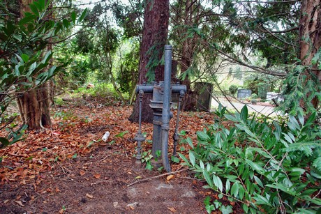 suedfriedhof