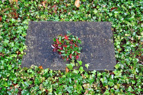 suedfriedhof