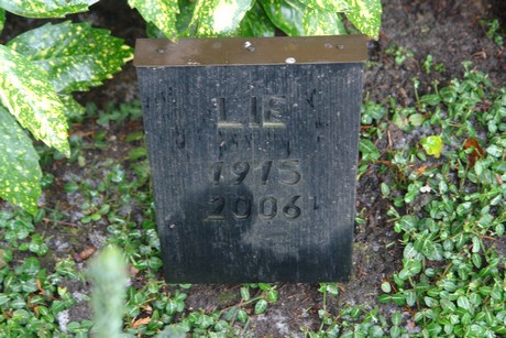 friedhof