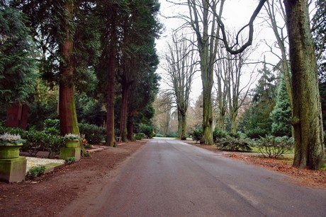 suedfriedhof