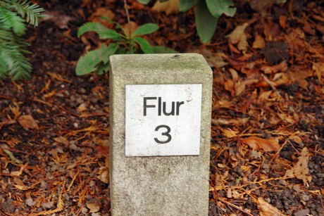 suedfriedhof