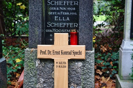 suedfriedhof