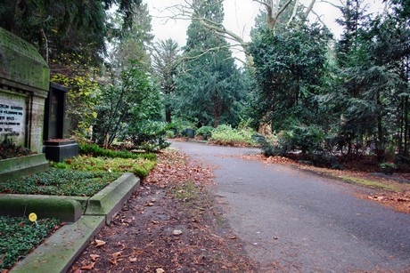 suedfriedhof