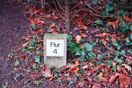 suedfriedhof