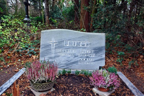 suedfriedhof
