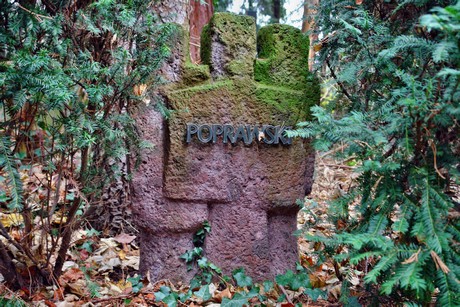suedfriedhof