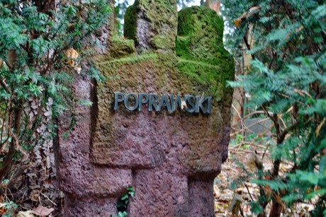 suedfriedhof