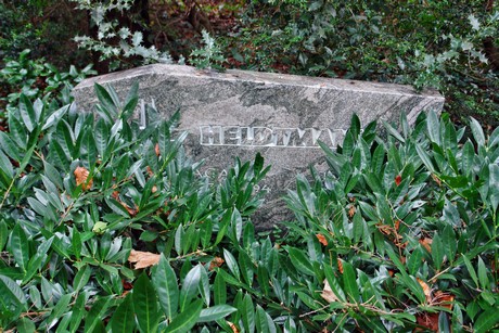 suedfriedhof
