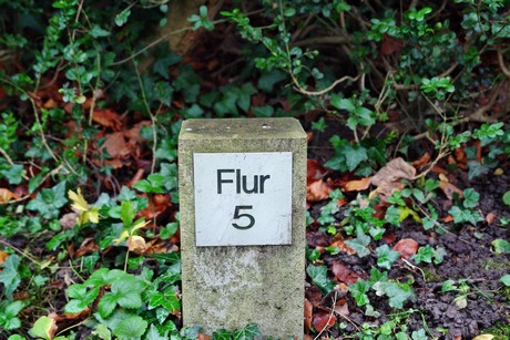suedfriedhof