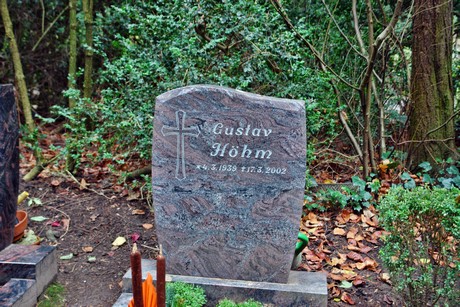 suedfriedhof